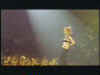 desen009.bmp (921654 octets)
