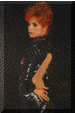 vis030.gif (4236 octets)
